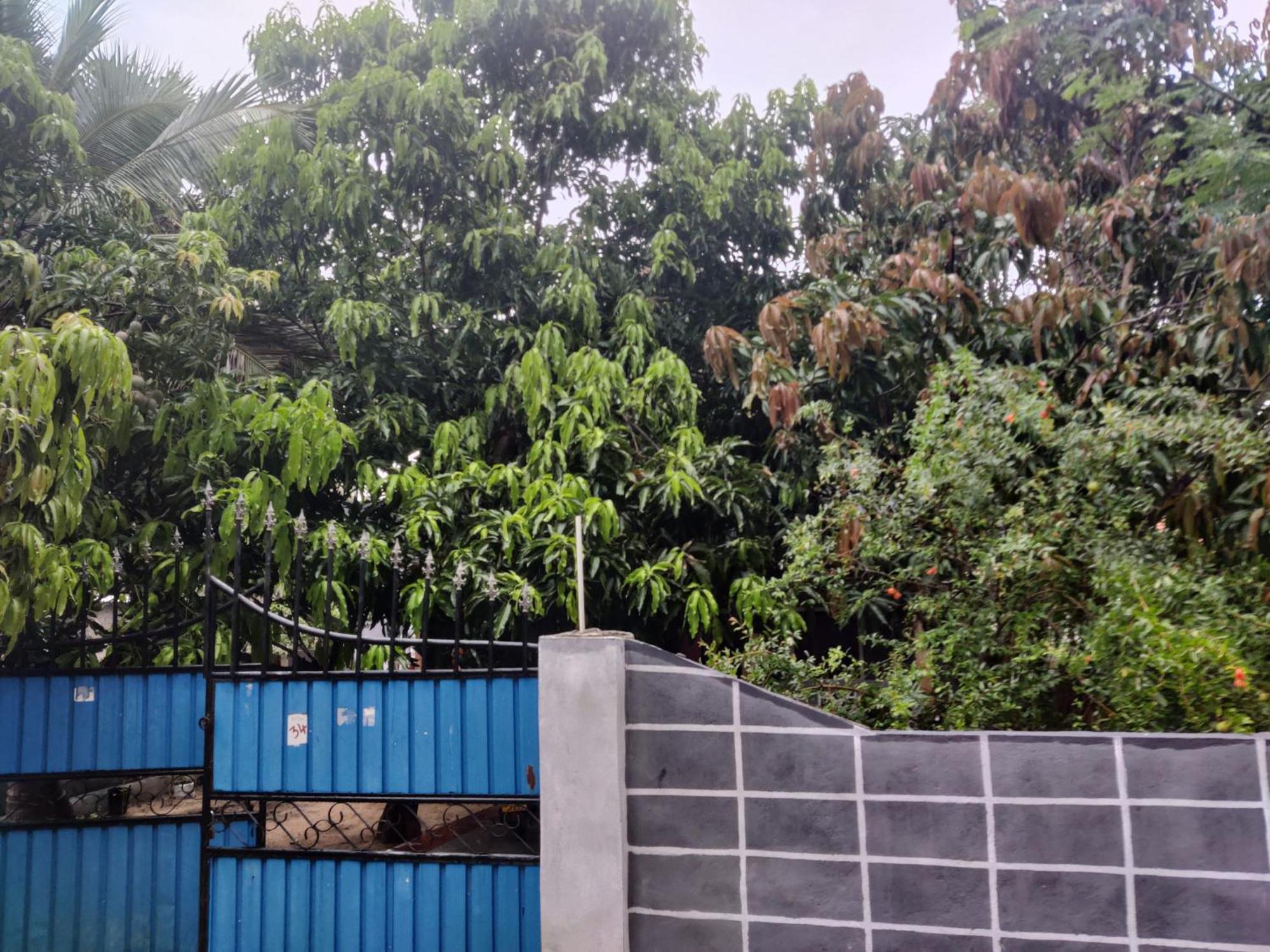 Enoch Guest House Mannar Luaran gambar