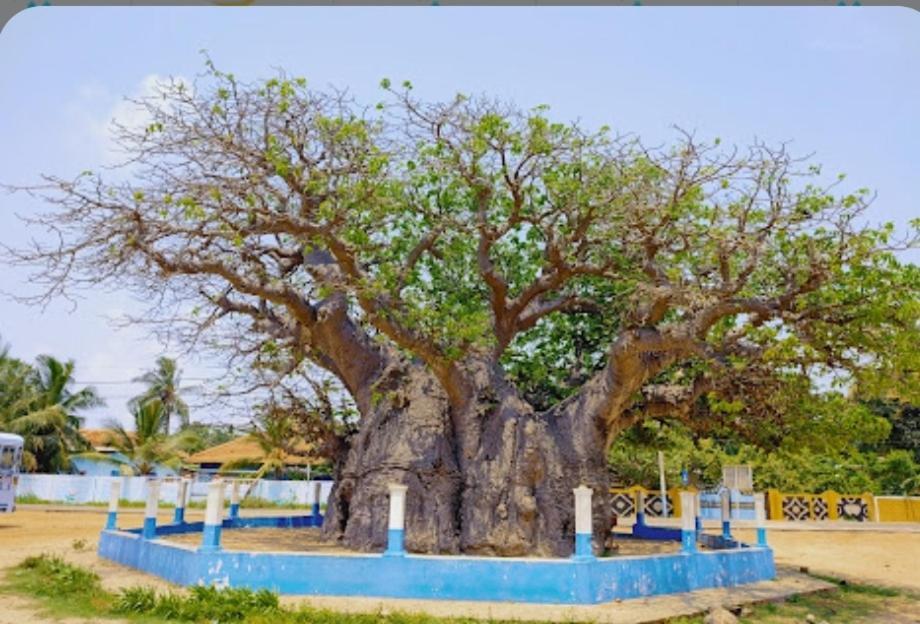 Enoch Guest House Mannar Luaran gambar