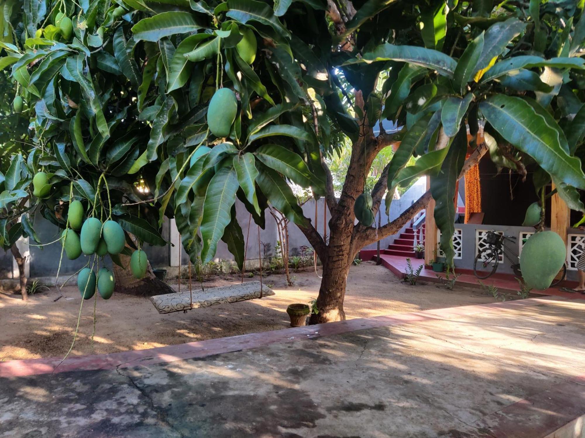 Enoch Guest House Mannar Luaran gambar