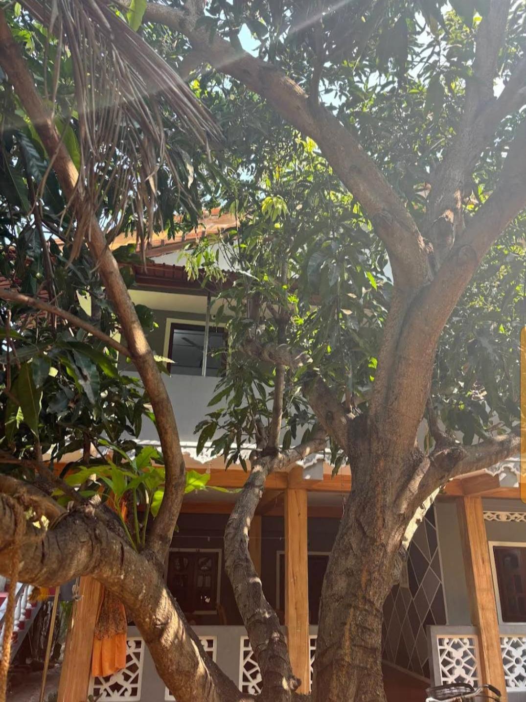 Enoch Guest House Mannar Luaran gambar
