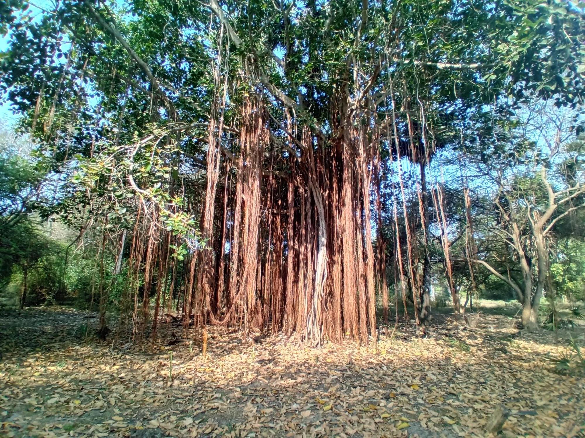 Enoch Guest House Mannar Luaran gambar